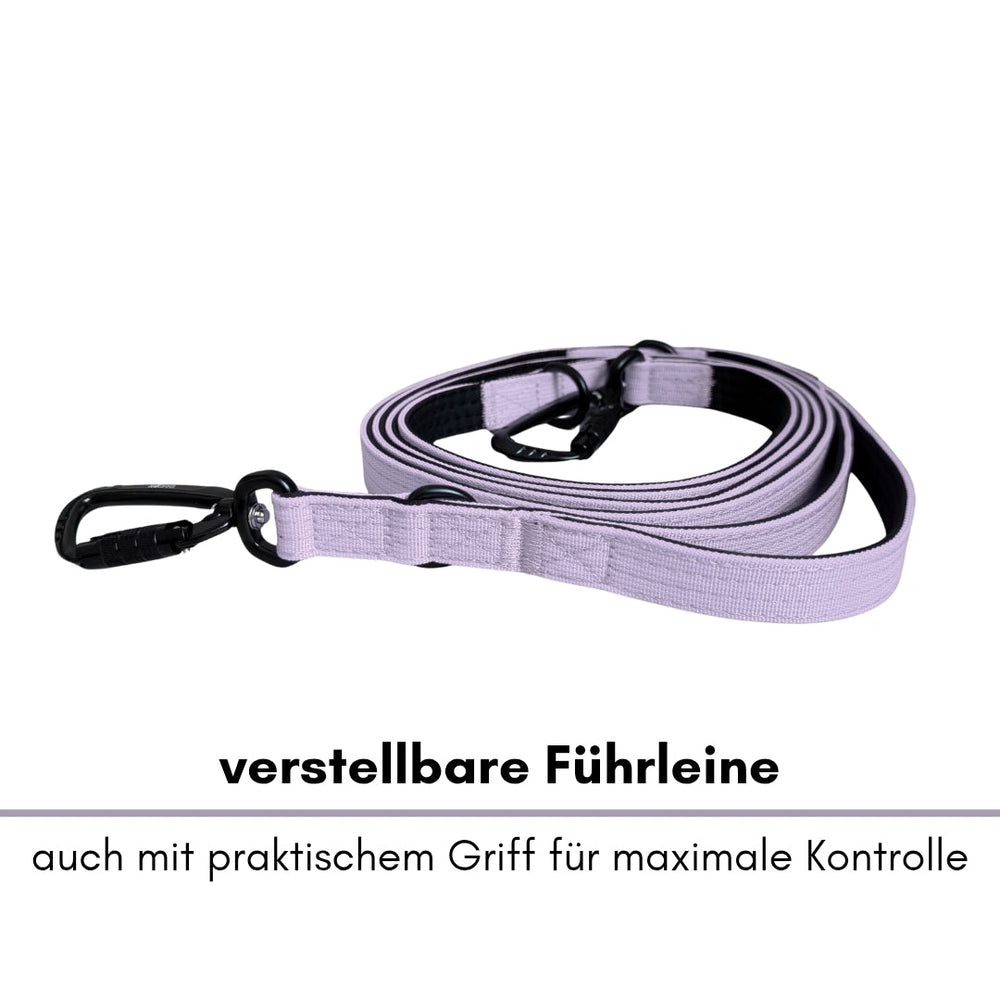 Verstellbare lila Führleine aus Nylon mit Sicherheitskarabiner und praktischem Griff auf weißem Hintergrund.