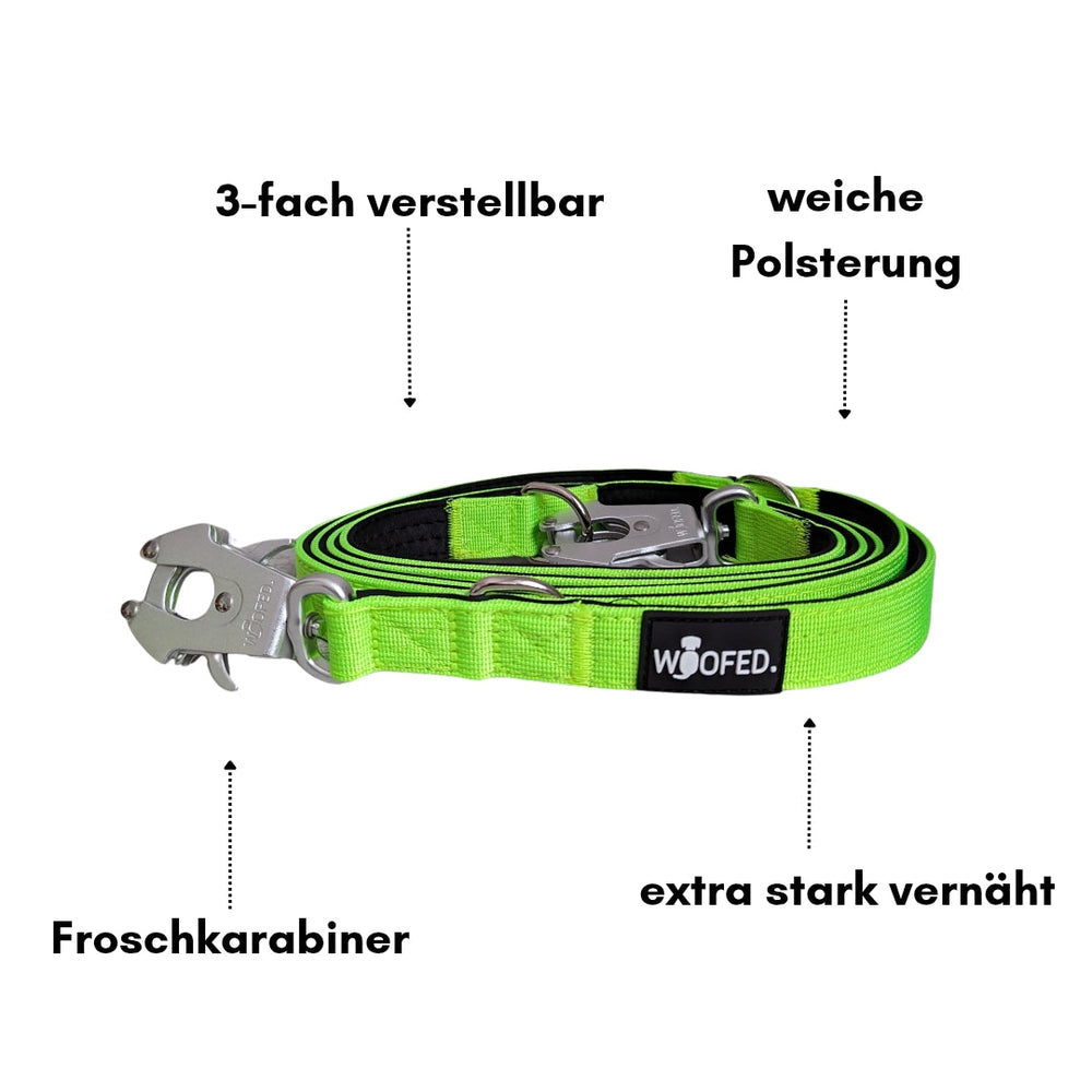 Grüne Hundeleine aus Nylon mit verstellbaren Längen, weicher Polsterung, robustem Froschkarabiner und starker Vernähung.