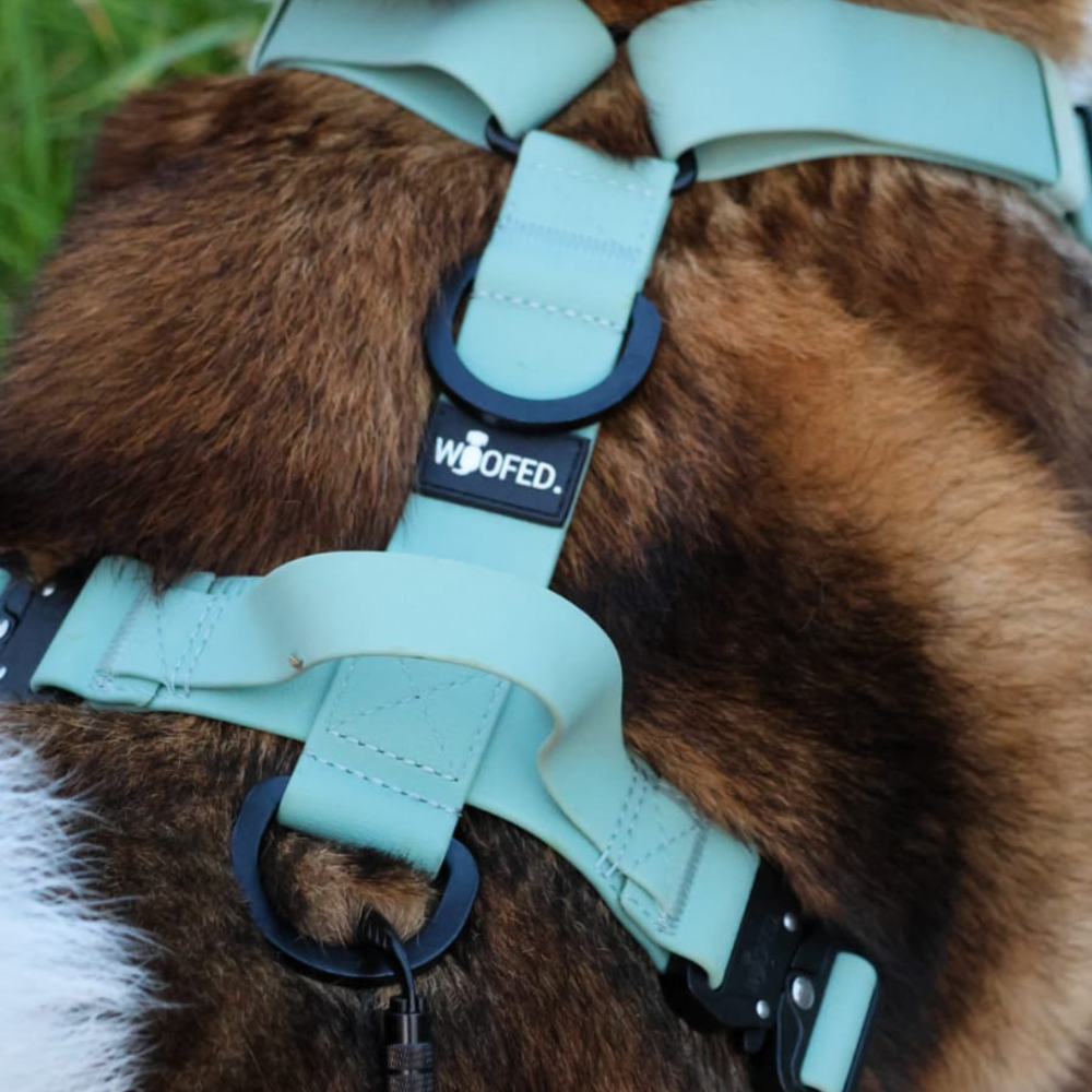 Mintgrünes Y-Hundegeschirr WOOFLEX® 4fach-verstellbar, mit Griff, Sicherheitsschnallen und wasserfestem Material.