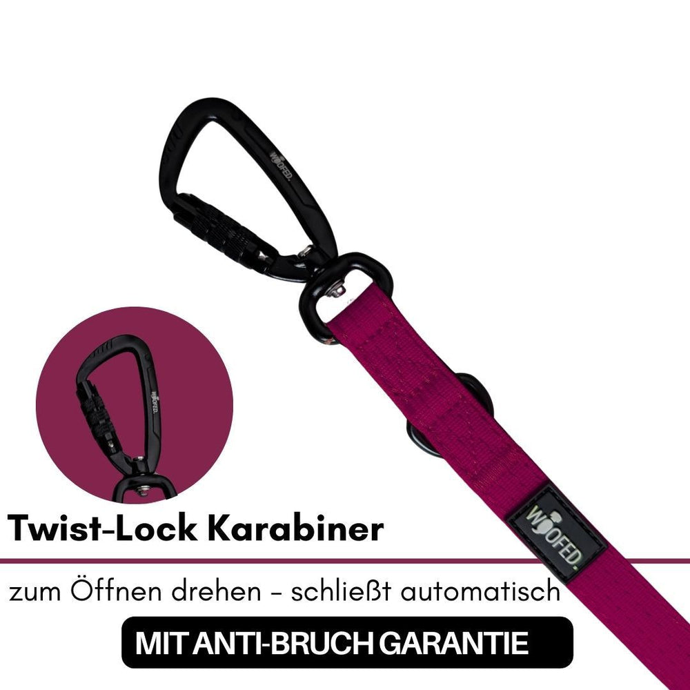 Schwarzer Twist-Lock Karabiner an lila Gurt, sicher und bruchfest, ideal für Hundehalter.