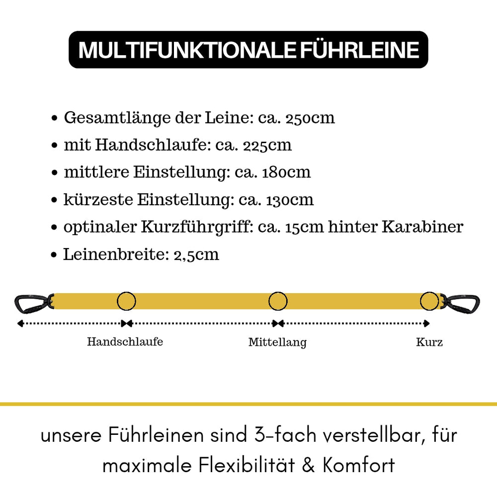 Verstellbare multifunktionale Führleine aus Nylon mit Sicherheitskarabiner und einer Länge von 250 cm.