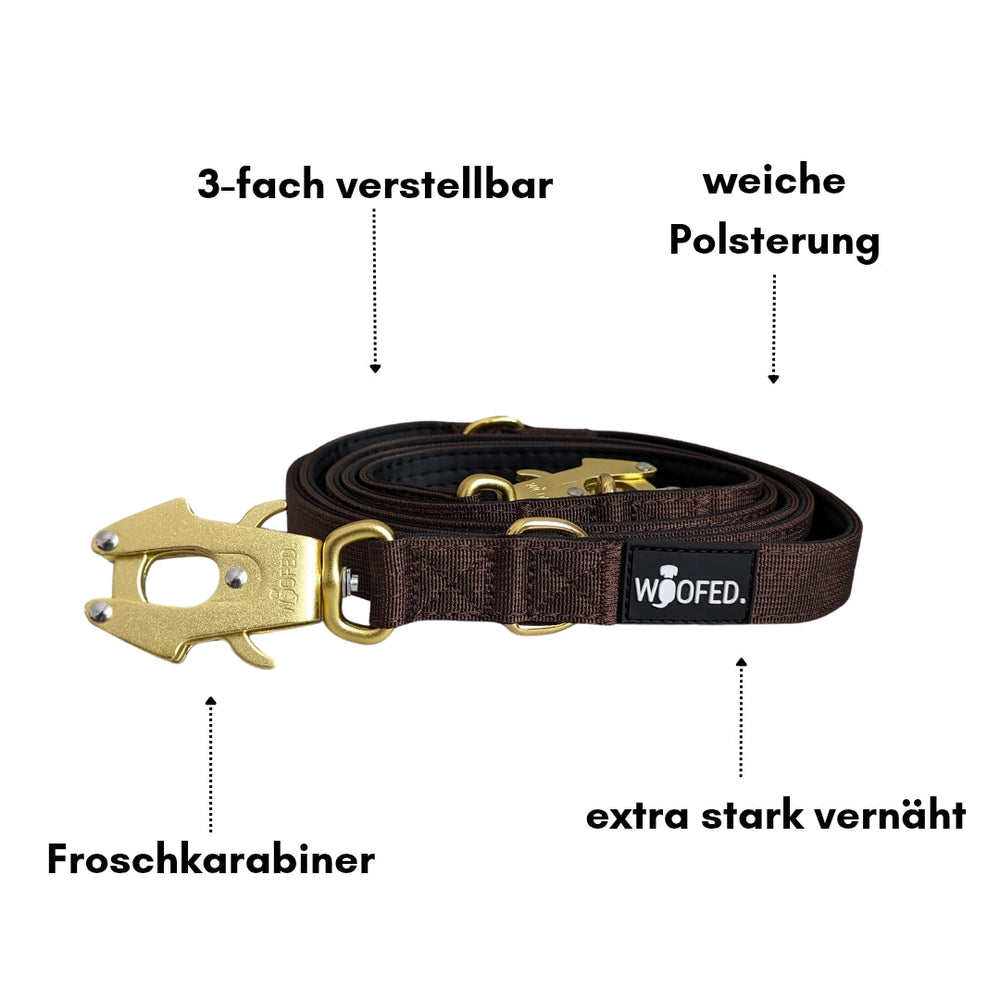 Verstellbare Nylon-Hundeleine mit weicher Polsterung und robustem Froschkarabiner, ideal für komfortable Spaziergänge.