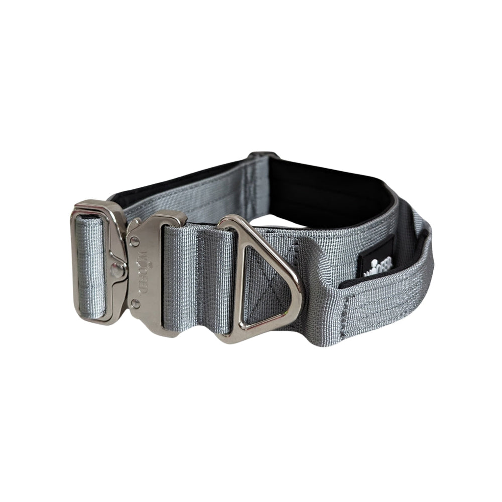 Graues Nylon-Halsband für kleine Hunde mit gepolsterter Innenseite und Sicherheitsverschluss aus Aluminium.