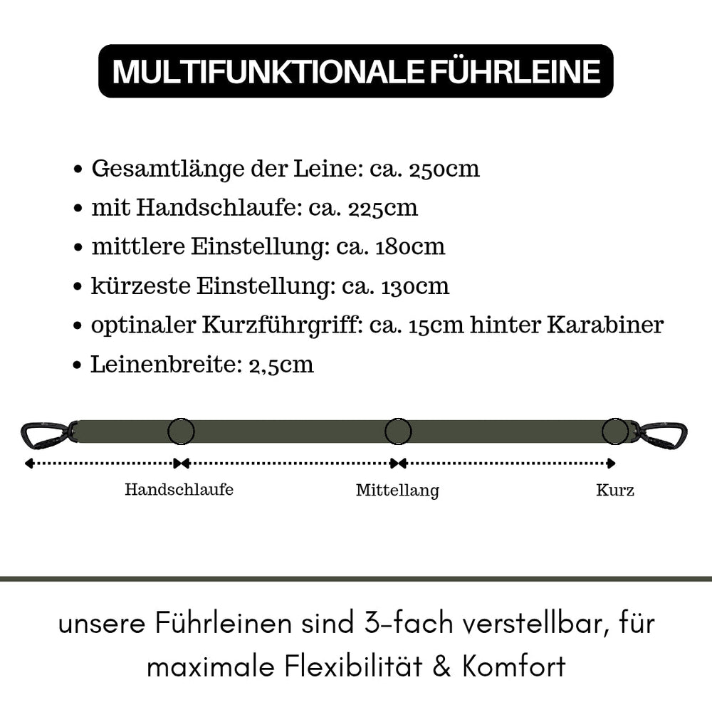 Multifunktionale Hundeleine aus Nylon mit Sicherheitskarabiner und variablen Längen bis 250 cm.