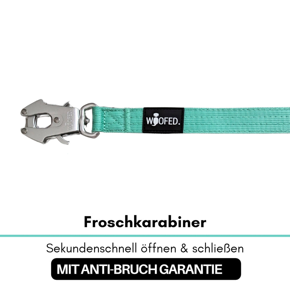 Mintgrüne Hundeleine mit Froschkarabiner aus Metall für schnelles Öffnen und Schließen. Ideal für Hundehalter.