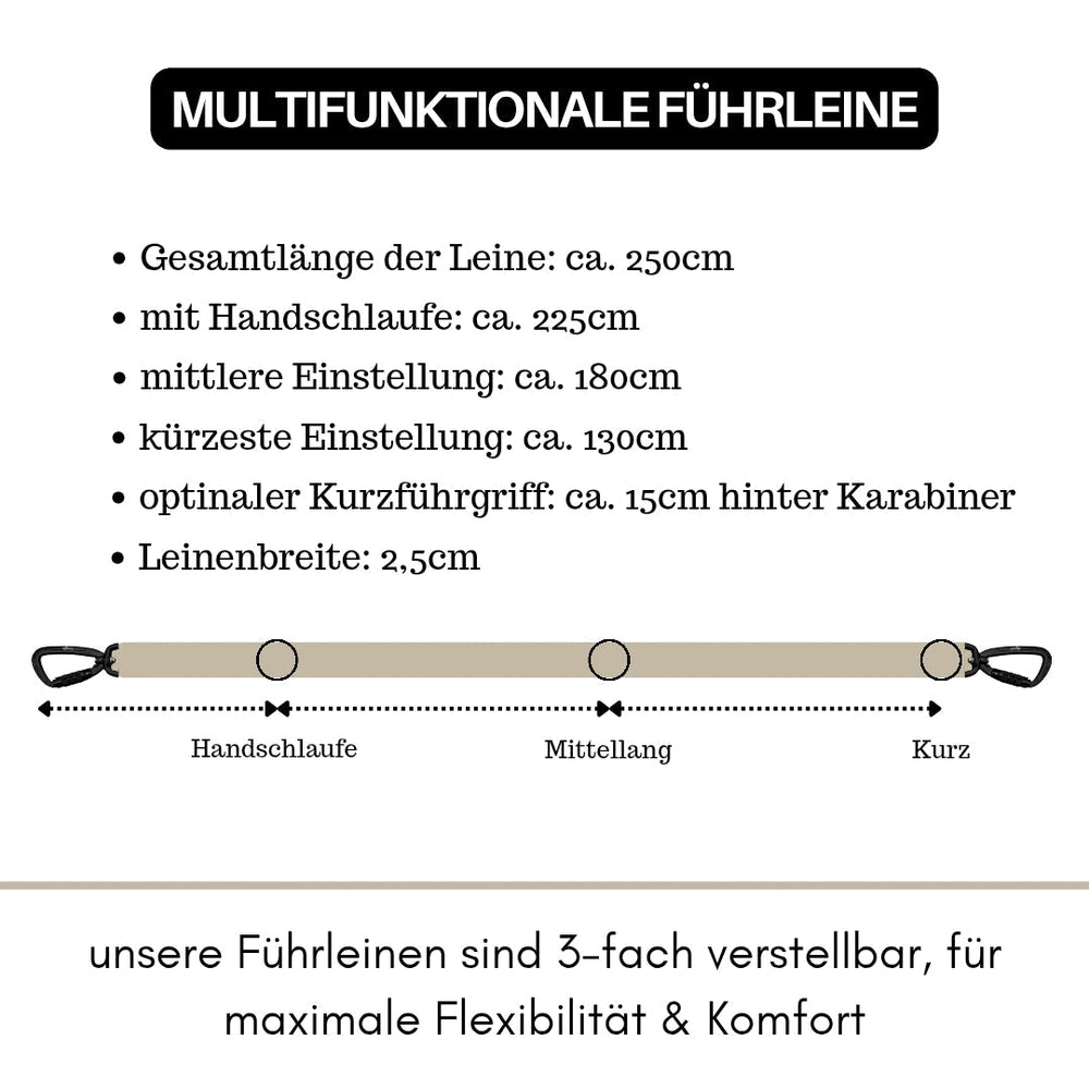 Multifunktionale Nylonführleine mit Sicherheitskarabiner, 250 cm lang, ideal für Hunde und Katzen.