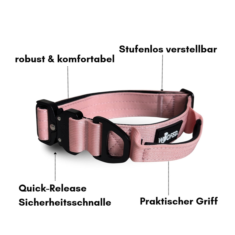 "Ultraleichtes Nylon Halsband-Leine-Set für Hunde in Pink mit verstellbarem Geschirr und Sicherheitschnalle."