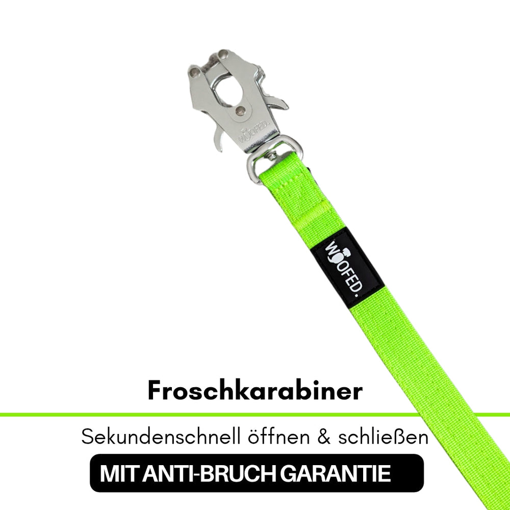 Führleine aus Nylon mit leuchtend grünem Gurt und silbernem Froschkarabiner für schnelles Öffnen und Schließen.