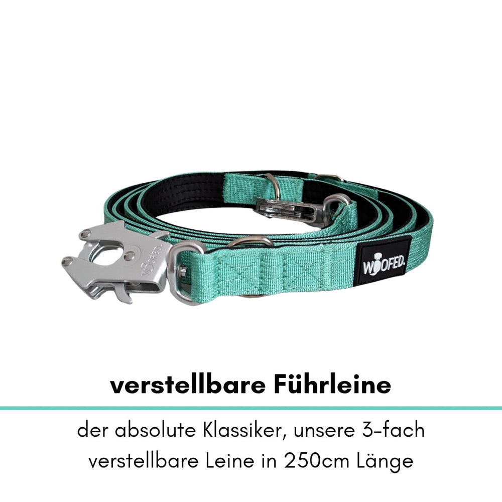Verstellbare Türkis-Führleine mit Froschkarabiner, 250 cm lang und dreifach verstellbar. Ideal für Hundebesitzer.