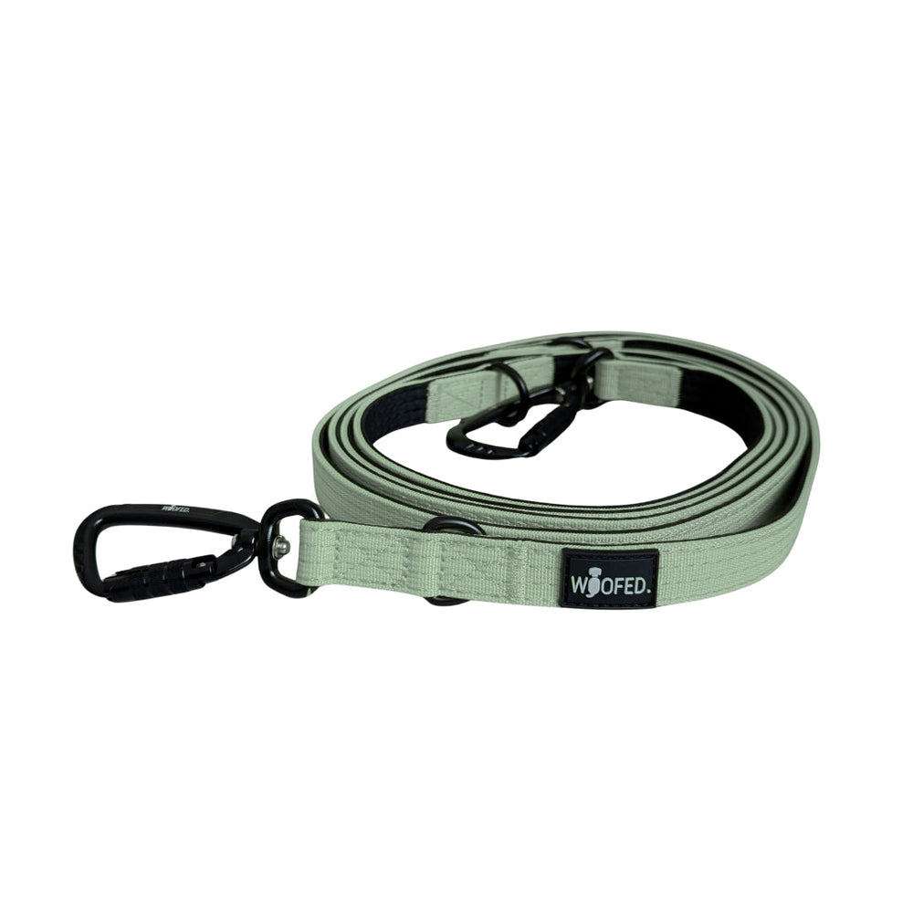 "Führleine aus strapazierfähigem Nylon mit robustem Karabiner und gepolsterter Handfläche in hellgrün für Hunde."