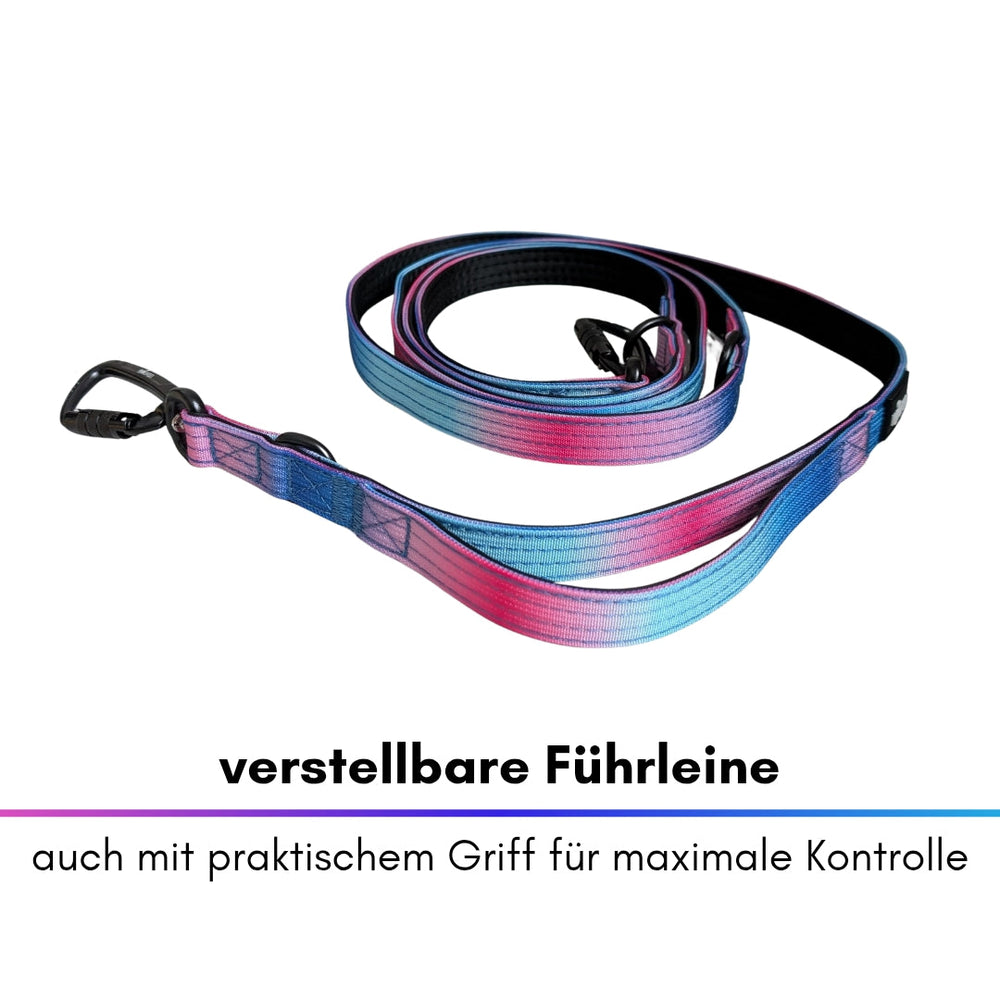 Verstellbare Nylon-Führleine in Blau-Pink mit praktischen Griff und zwei Sicherheitskarabinern für optimale Kontrolle.