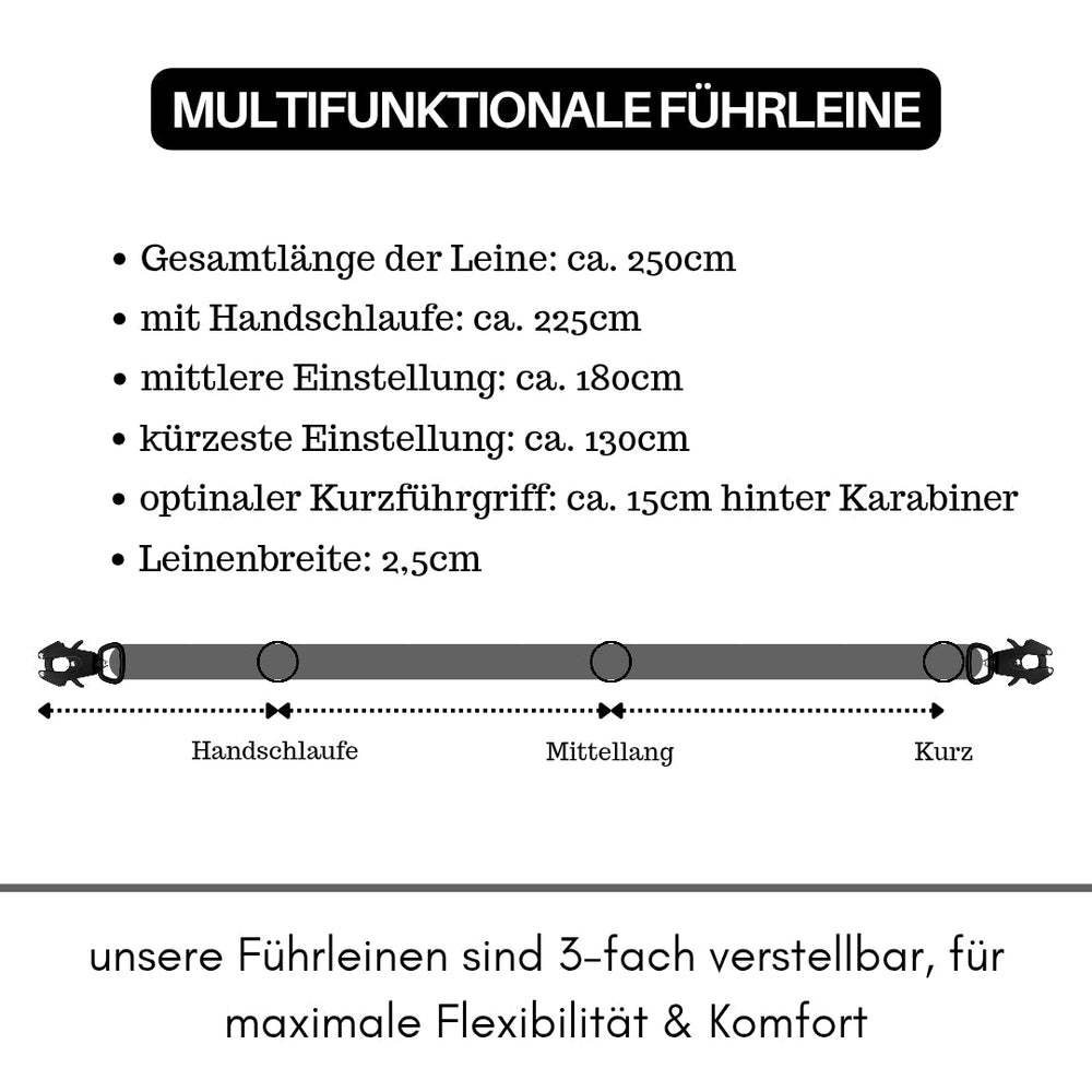 Multifunktionale Nylon-Führleine für Hunde mit Froschkarabiner, verstellbar auf 250 cm, 180 cm, 130 cm und 15 cm.