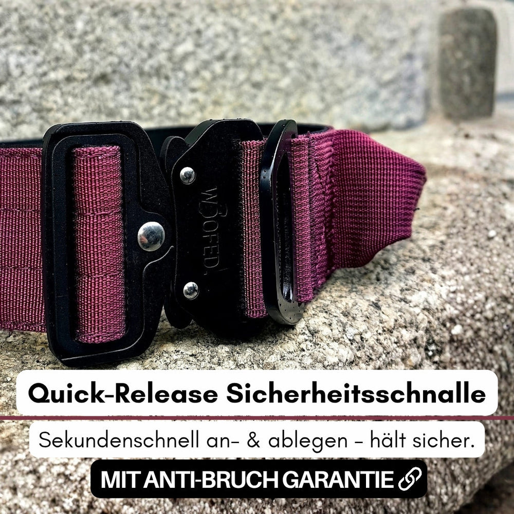 Ultraleichter Nylon-Halsbandgriff mit robuster dunkelroter Quick-Release Sicherheits-schnalle auf strukturiertem Hintergrund.