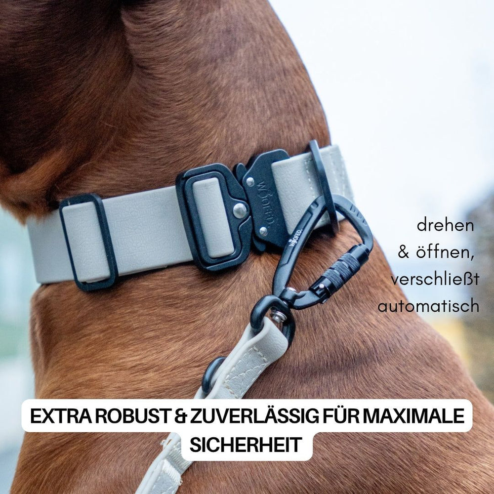 "Führleine WOOFLEX® mit stabilem Sicherheitskarabiner und grauem Halsband für zuverlässigen Hundeschutz."