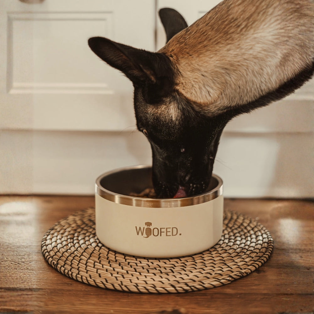 Hund frisst aus hochwertigem Edelstahlnapf mit "Woofed"-Aufschrift und weißen Rand. Ideal für Haustiere.