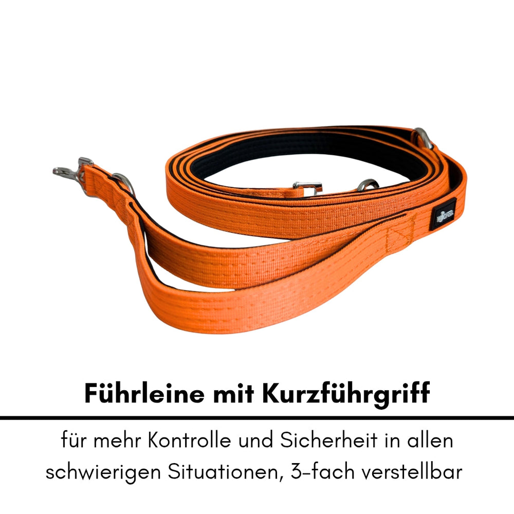 Orange Nylon Classic Führleine mit Kurzführgriff, dreifach verstellbar für optimale Kontrolle und Sicherheit im Alltag.