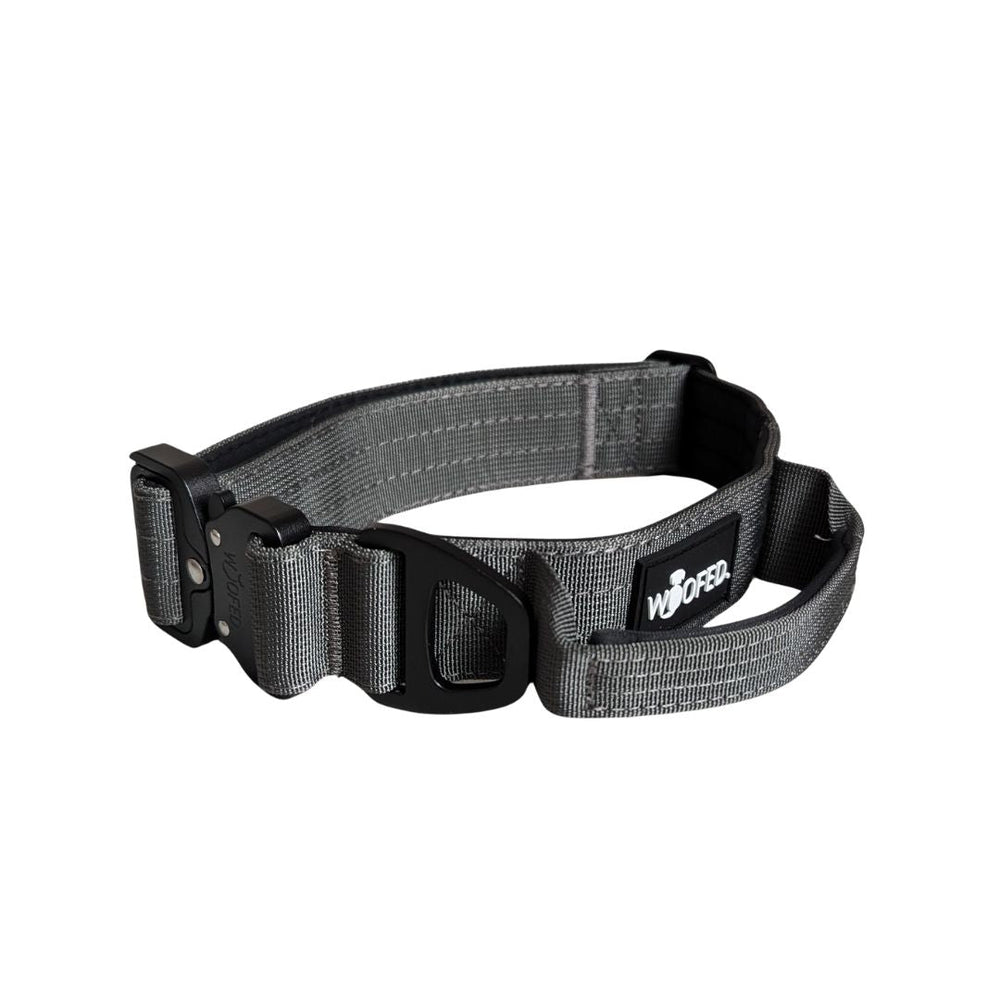 "Graues Nylon Tactical Halsband für Hunde mit verstellbarem Gurt und schwarzer Schnalle, strapazierfähig und leicht."