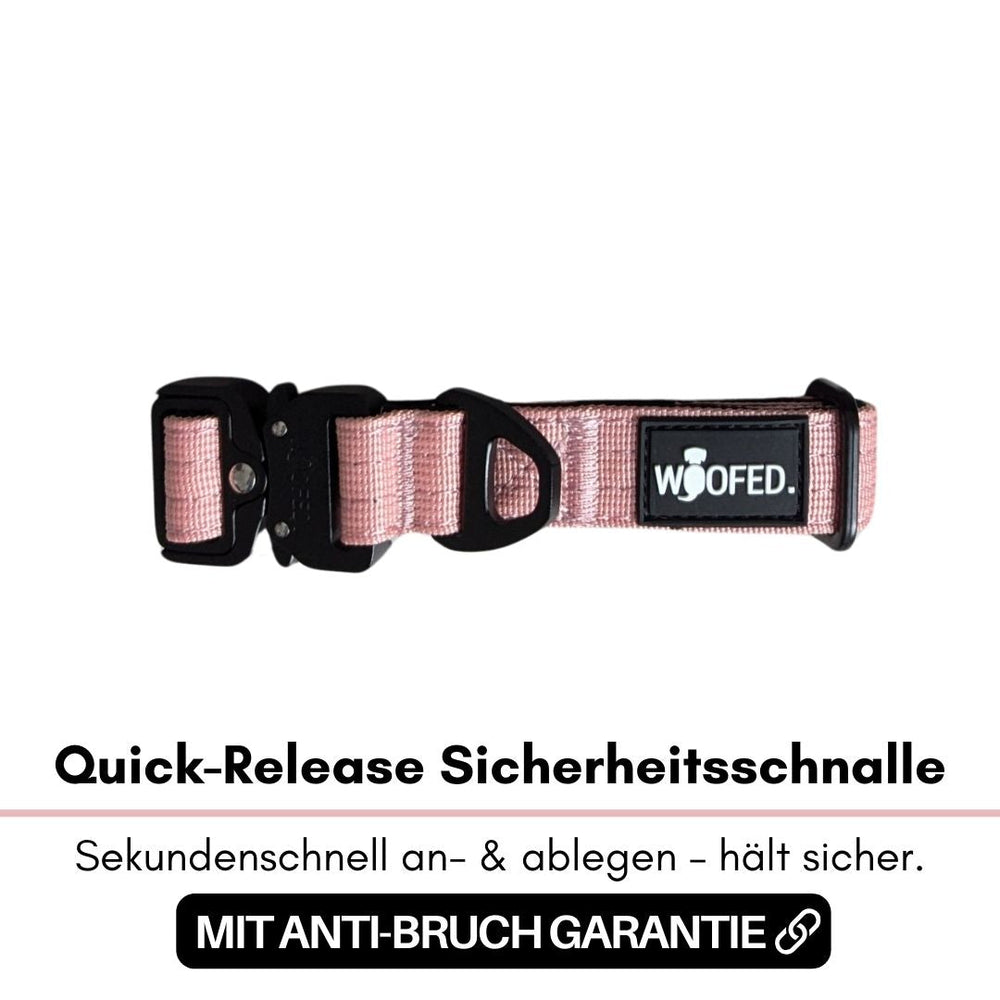 Ultraleichtes Nylon Halsband mit strapazierfähiger Quick-Release Schnalle in Rosé für sicheres An- und Ablegen.