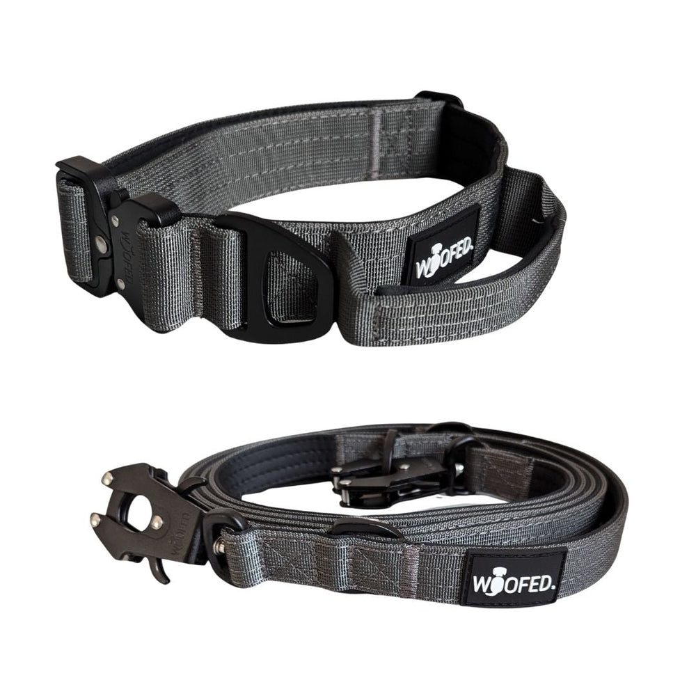 Graues Nylon Halsband-Leine-Set mit stabiler Clipsverschluss und gepolsterter Handgriffe für Komfort beim Spaziergang.