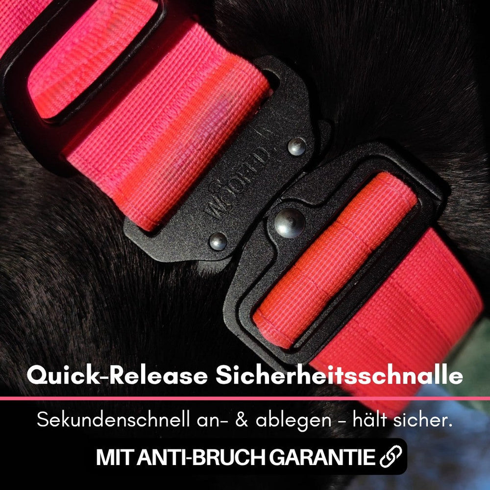 Ultraleichtes Nylon Halsband mit Griff und Quick-Release Schnalle in leuchtendem Pink für Hunde.