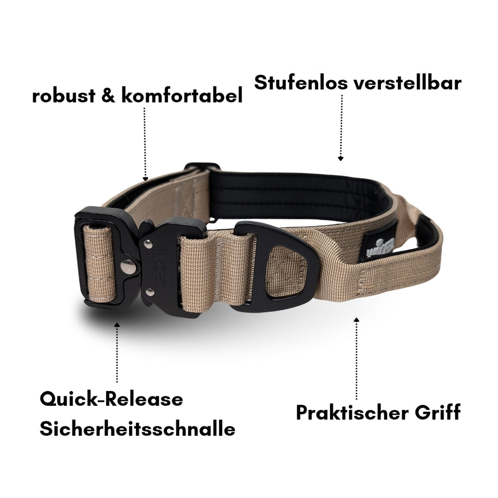 Beige Nylon-Halsband mit Griff, verstellbar und mit Schnellverschluss für optimalen Komfort und Sicherheit.