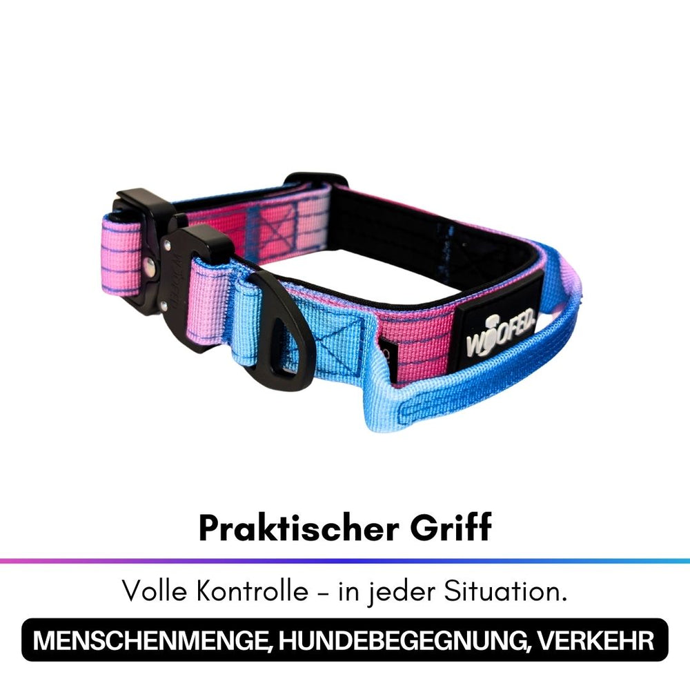 Ultraleichtes Nylon-Halsband mit praktischem Griff in Blau und Rosa für optimale Kontrolle und Komfort beim Gassigehen.