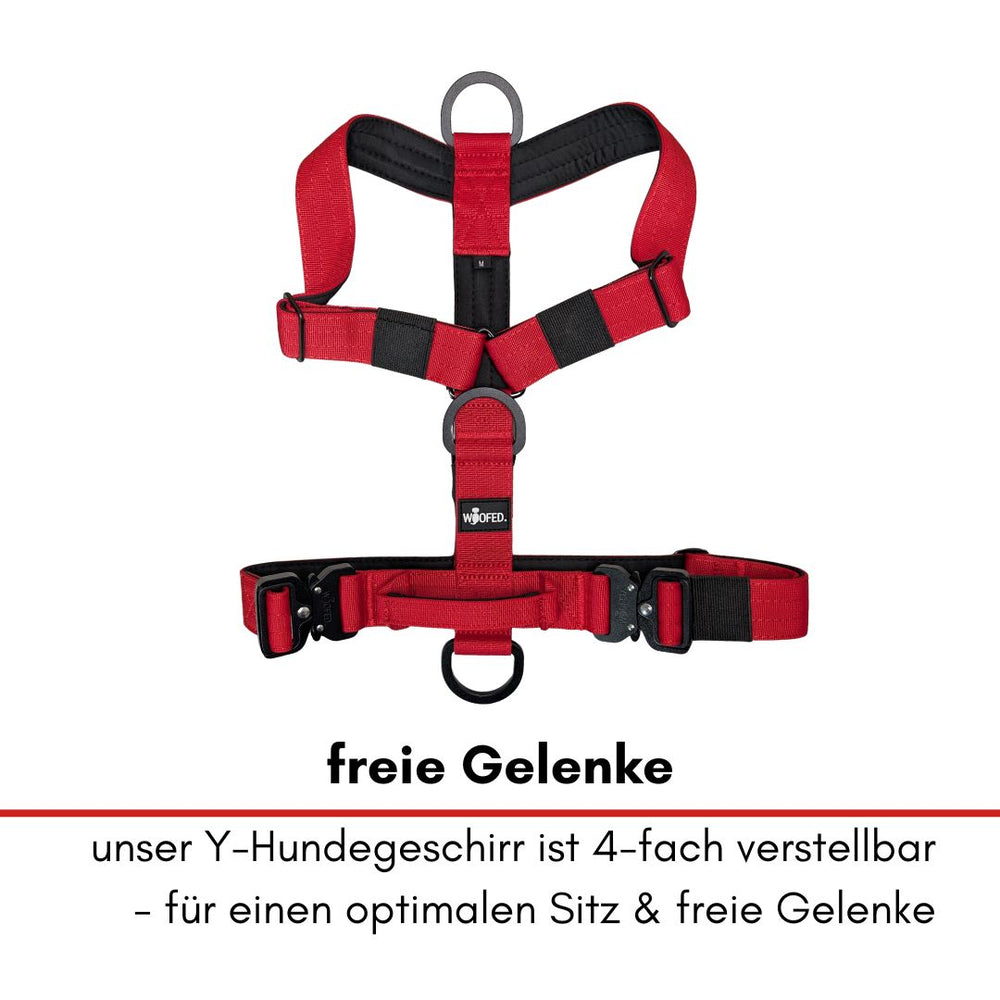 Rotes Y-Hundegeschirr mit verstellbaren Riemen und Freigelenken für optimale Beweglichkeit und Komfort.