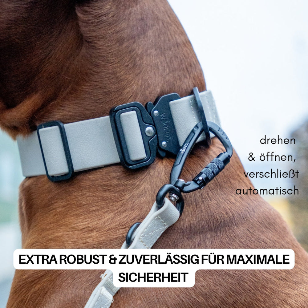 Hund mit verstellbarer WOOFLEX® Pro Führleine und robustem, sicherem Halsband im Einsatz.