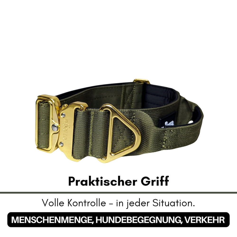 Olivgrünes Nylon-Halsband für kleine Hunde mit goldfarbenem Aluverschluss und D-Ring für Leine.