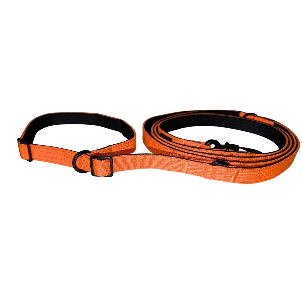 Nylon Retrieverleine von WOOFED in Orange mit verstellbarem Halsband, ideal für Hunde, strapazierfähig und wetterfest.