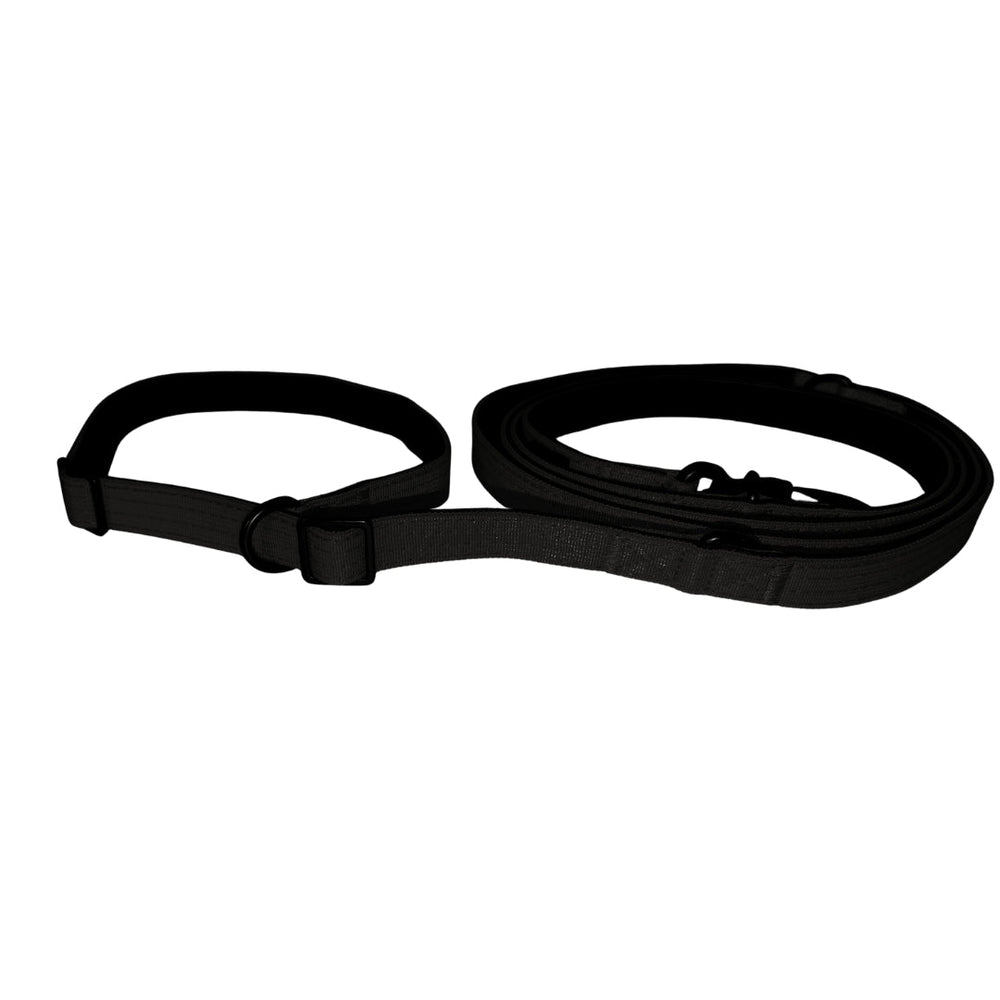 schwarze verstellbare Nylon Retrieverleine mit integrierter Halsung für Hunde, ideal für Training und Spaziergänge