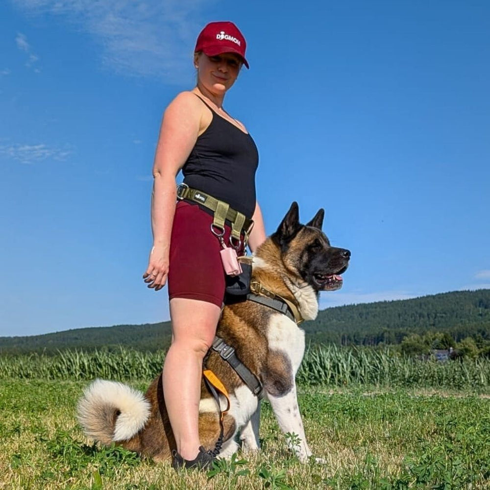 "Verstellbarer Gassigürtel mit Schnalle, Person mit Akita-Hund auf grüner Wiese unter blauem Himmel."
