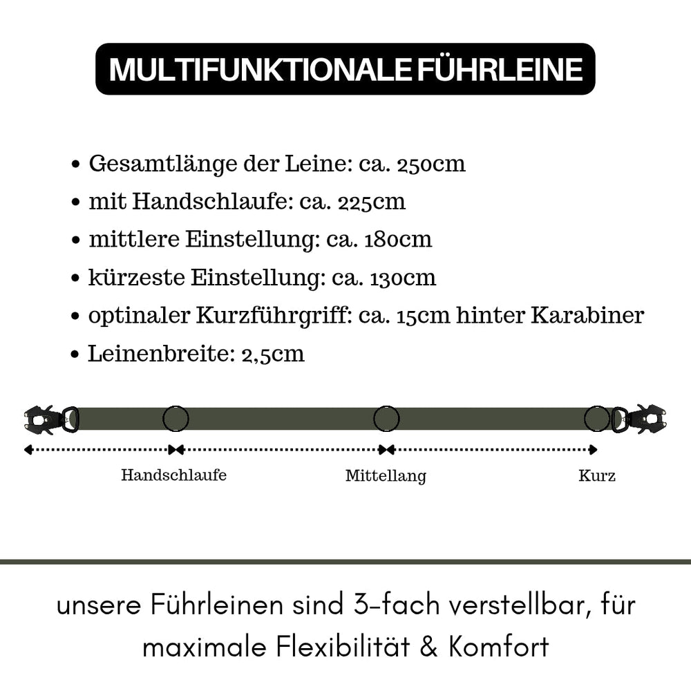 Multifunktionale Nylon-Führleine mit Froschkarabiner, 250 cm lang, inkl. Handschlaufe und mittlerer Einstellung.