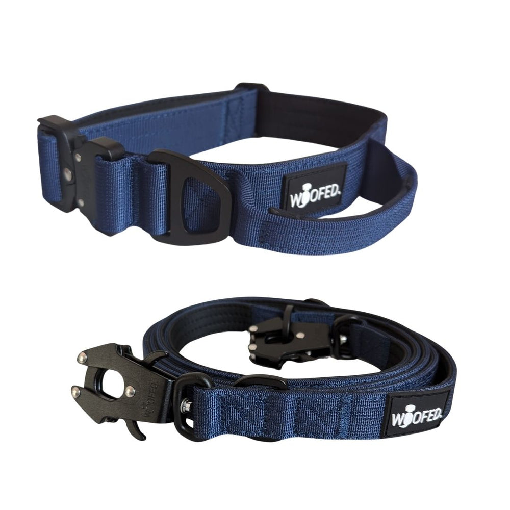 Nylon Halsband-Leine-Set in Blau für Hunde, robust und sicher, ideal für Gassigehen und Training, mit praktischem Verschluss.