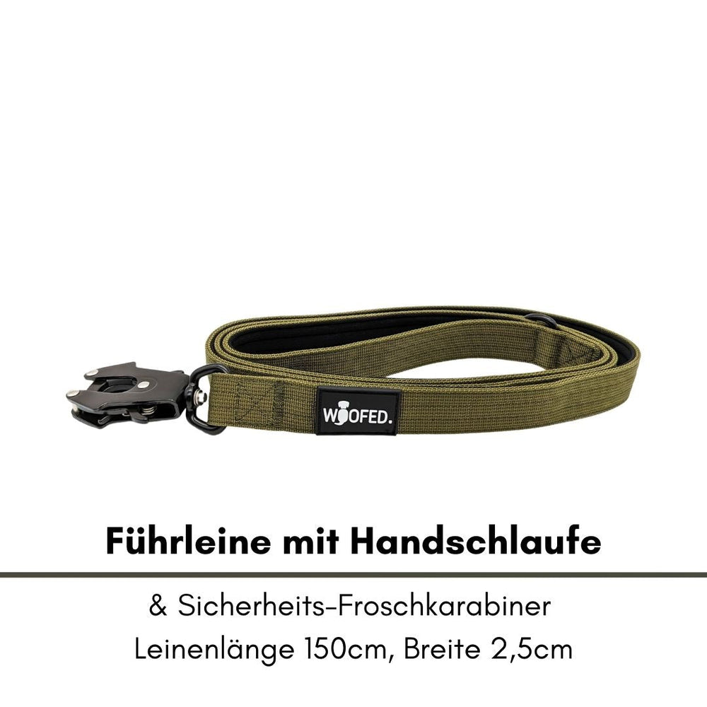 Hunde-Führleine aus Nylon in Olivgrün, 150 cm lang, 2,5 cm breit, mit Handschlaufe und Froschkarabiner.