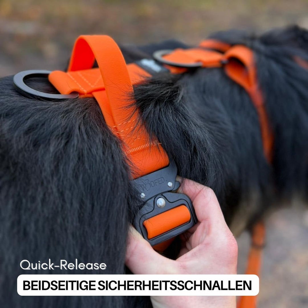 Y-Hundegeschirr WOOFLEX® in Orange mit Griff und Sicherheitsschnallen, gehalten von einer Hand, im Hintergrund ein schwarzer Hund.