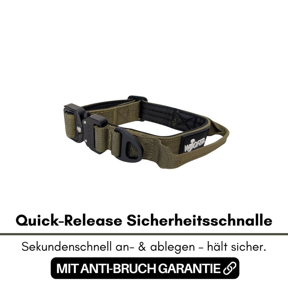 Nylon Halsband mit Griff, olivgrüne Quick-Release Schnalle und verstellbarem Gurt für täglichen Einsatz.