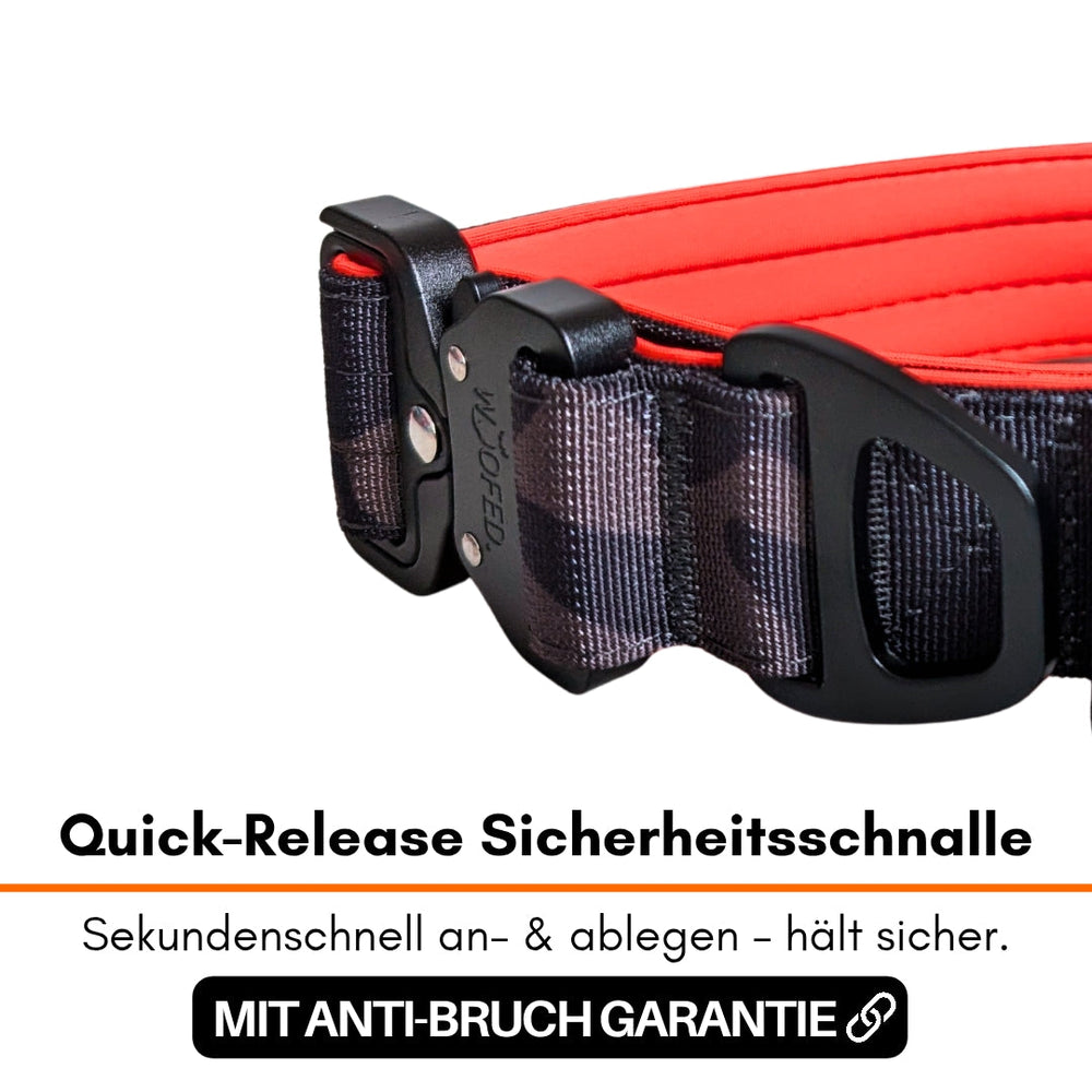 "Schwarze Nylon-Schnalle mit roten Akzenten an verstellbarem Halsband, ideal für Sicherheit und Komfort."