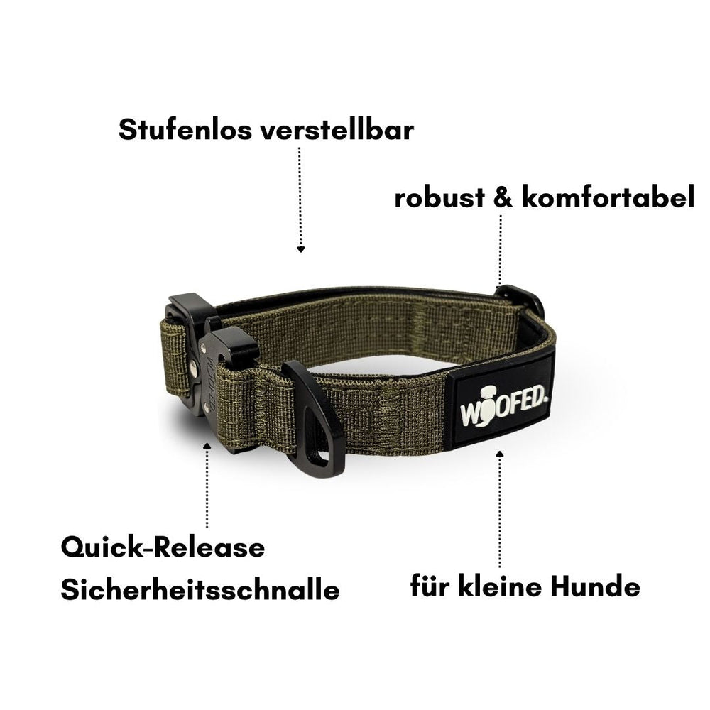 Olivgrünes Nylon-Halsband für kleine Hunde mit Griff, stufenlos verstellbar und robust, ideal für Komfort und Sicherheit.