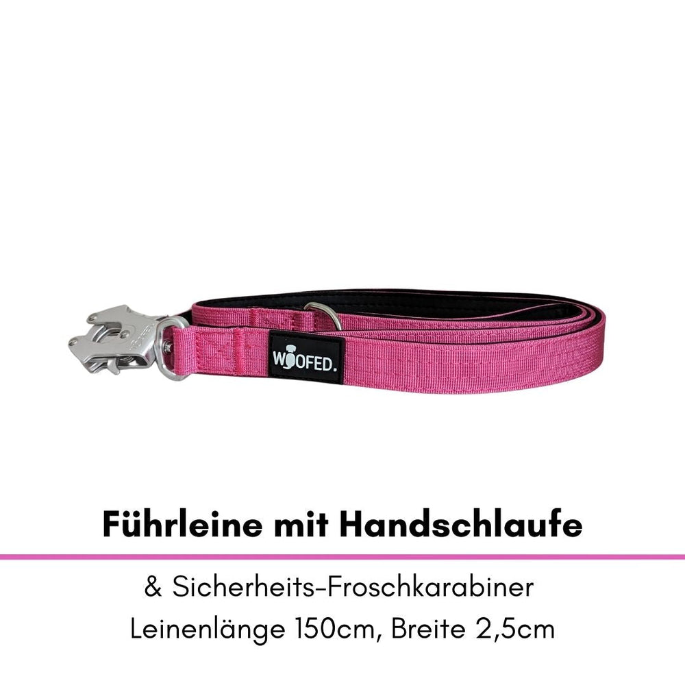 Hundeleine in Pink mit Handschlaufe und Froschkarabiner, 150 cm lang, 2,5 cm breit, ideal für Hunde.