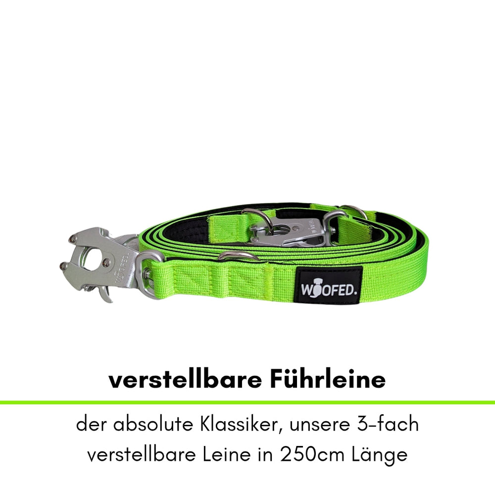 Grüne Nylon Führleine mit Froschkarabiner, verstellbar und 250 cm lang, ideal für Hundeausflüge.