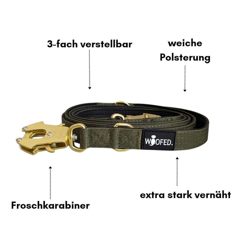 Hundehalsband aus Nylon mit Froschkarabiner, dreifach verstellbar und weich gepolstert, in robustem Design.