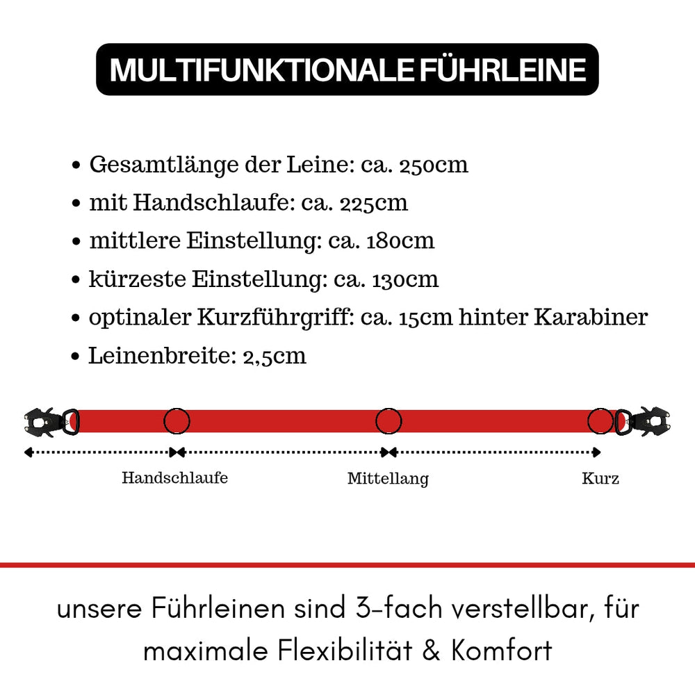 Multifunktionale NYLON Führleine mit Froschkarabiner, Länge 250 cm, inklusive Handschlaufe und mittlerer Einstellung.