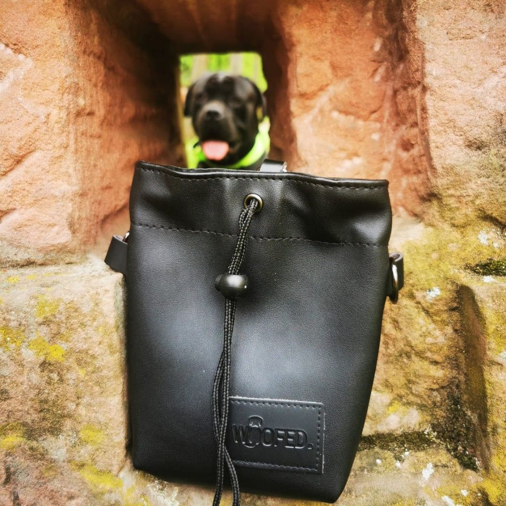 Schwarze Leder-Leckerlibeutel mit Zugverschluss, Hintergrund: Hund mit grünem Halsband. Ideal für Spaziergänge.