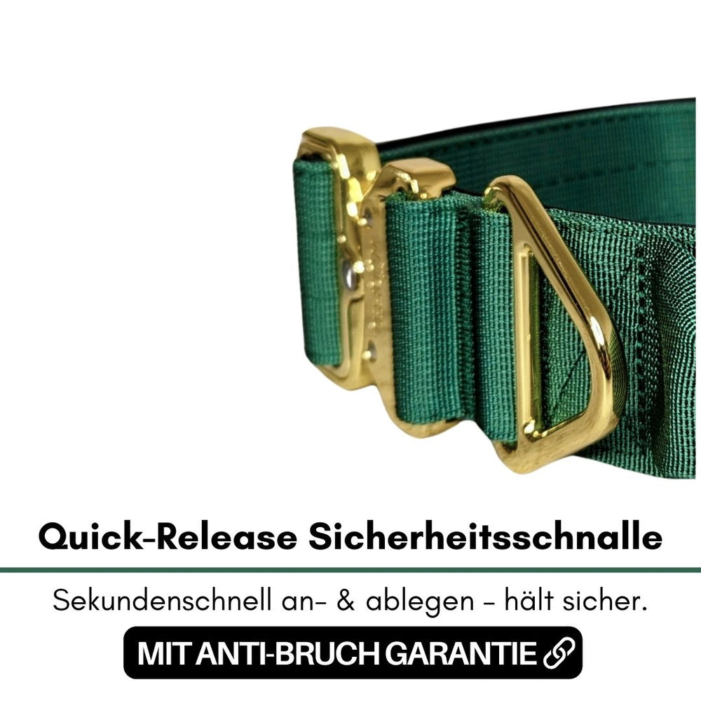 Grüne Quick-Release Sicherheitschnalle für kleine Hunde aus Nylon mit goldener Schnellverschlussmechanik.