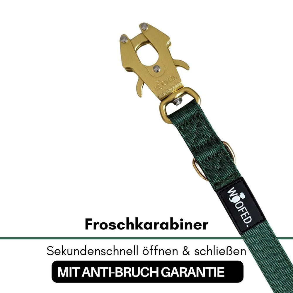 Froschkarabiner in Gold mit grünem Nylonband, schnell öffnend und schließend, ideal für Hundeleinen.