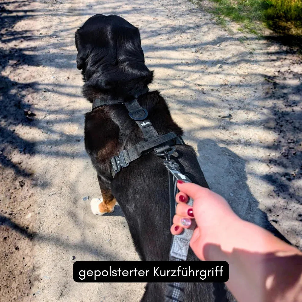 Schwarzer Hund an gepolsterter Leine auf schmalem Weg, Hand hält die Jogging- und Wanderleine. Ideal für aktive Outdoor-Abenteuer.