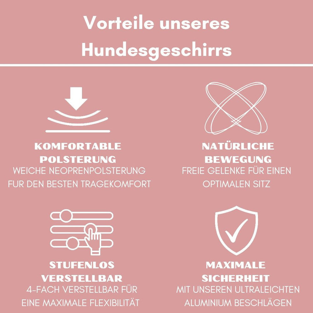 Y-Hundegeschirr mit Griff: Vorteile wie komfortable Polsterung, optimale Anpassung und Sicherheitsmerkmale aufgelistet.