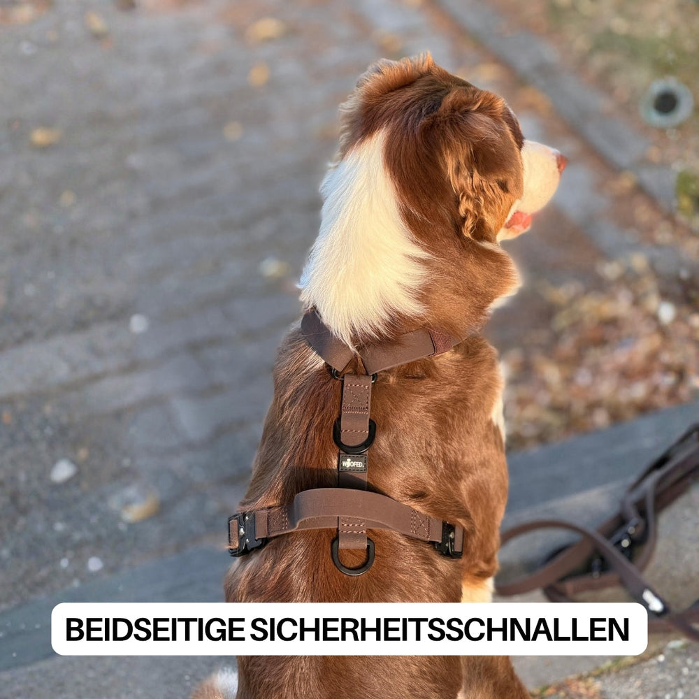 Brauner Y-Hundegeschirr WOOFLEX® auf Hund mit Sicherheitsschnallen, sitzend auf Gehweg umgeben von Grünflächen.