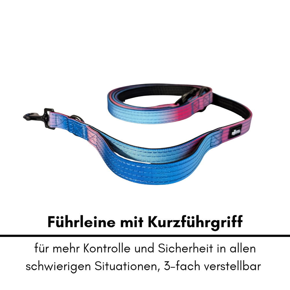 Nylon Führleine Classic von WOOFED in Blau-Pink mit Kurzführgriff, robust und komfortabel für Spaziergänge und Training.